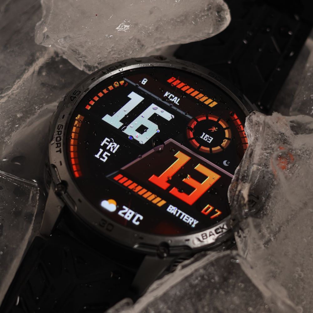 Montre Alpha